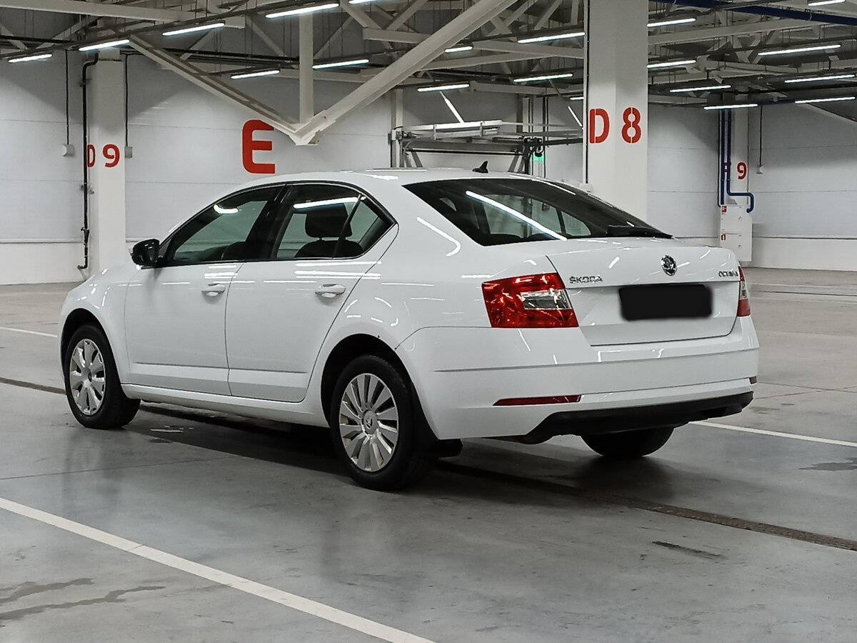 Skoda Octavia 2019 года с пробегом. Фото: #6